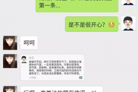 柳州柳州的要账公司在催收过程中的策略和技巧有哪些？